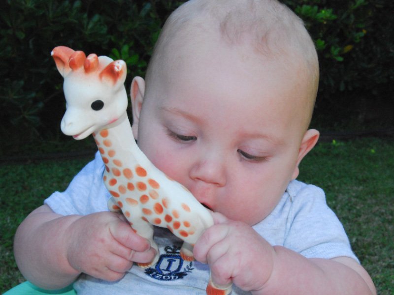 Coffret naissance Sophie la Girafe