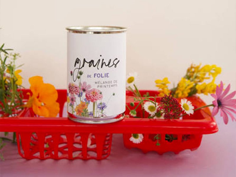 Kit de fleurs à semer