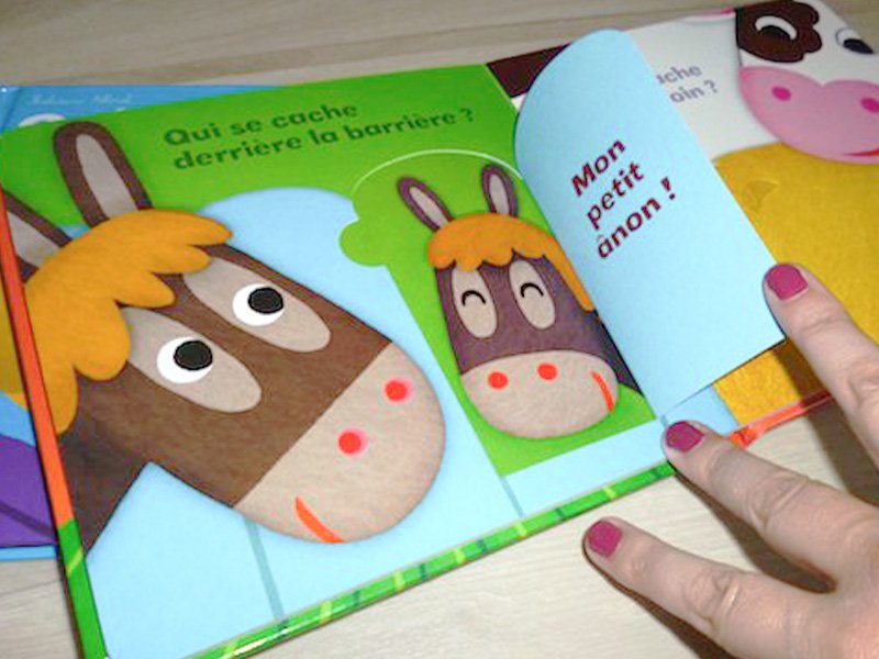 Livres à rabats