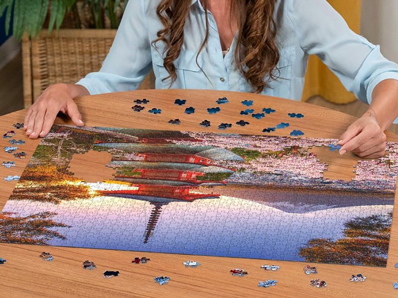 Puzzle de 1000 pièces